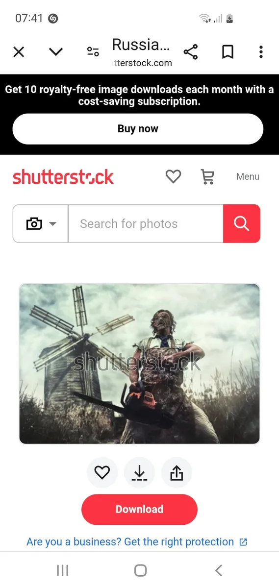 Tree services - Image 2