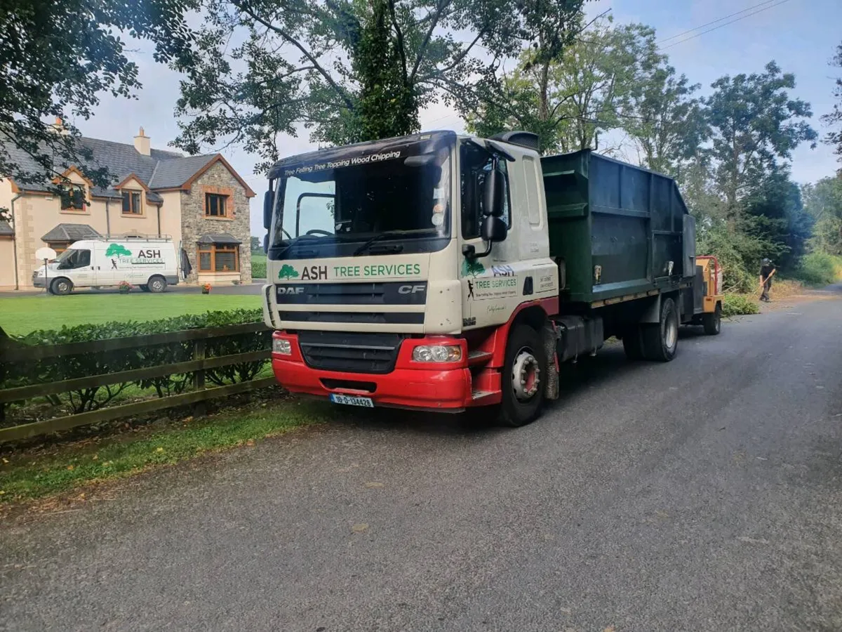 Tree services - Image 4