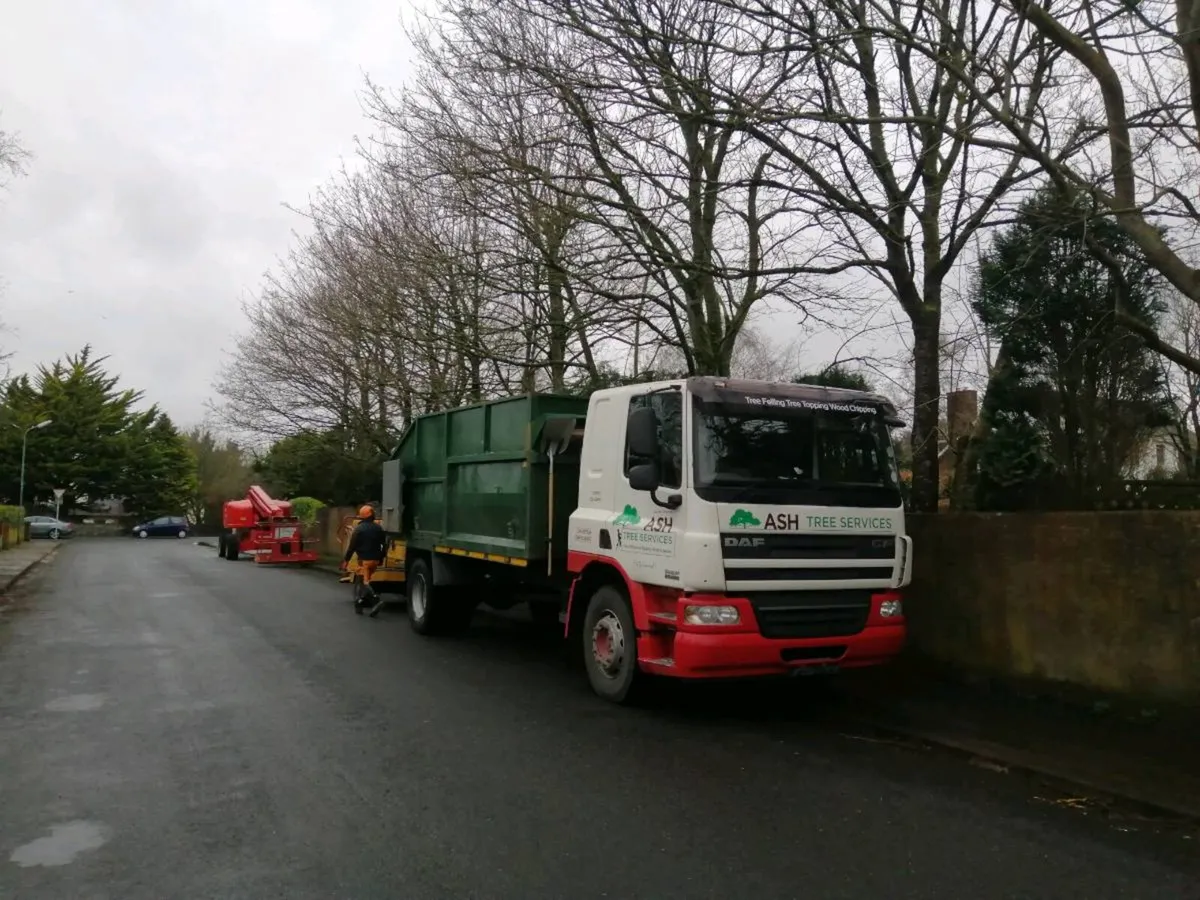 Tree services - Image 1