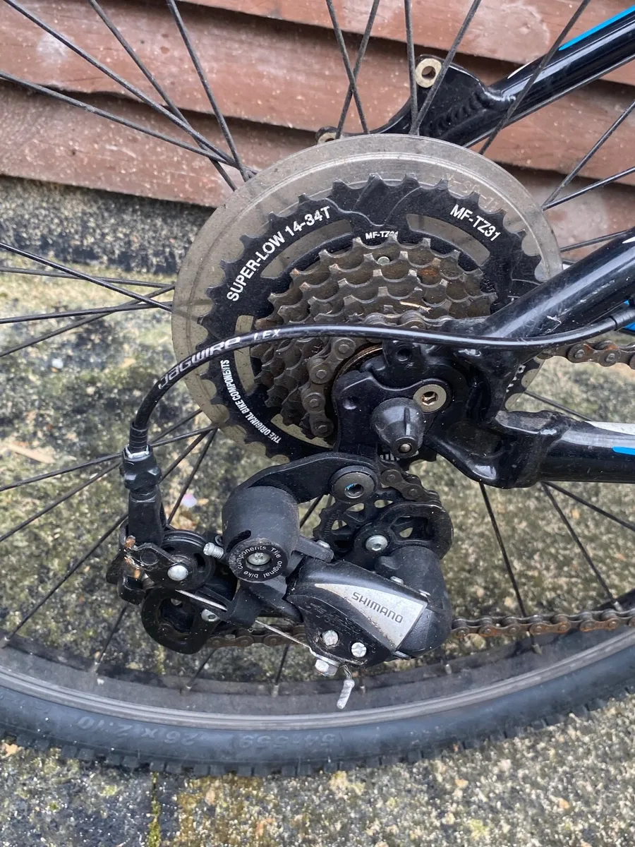 Giant revel - Image 4