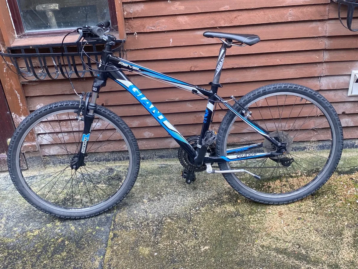 Giant revel - Image 1