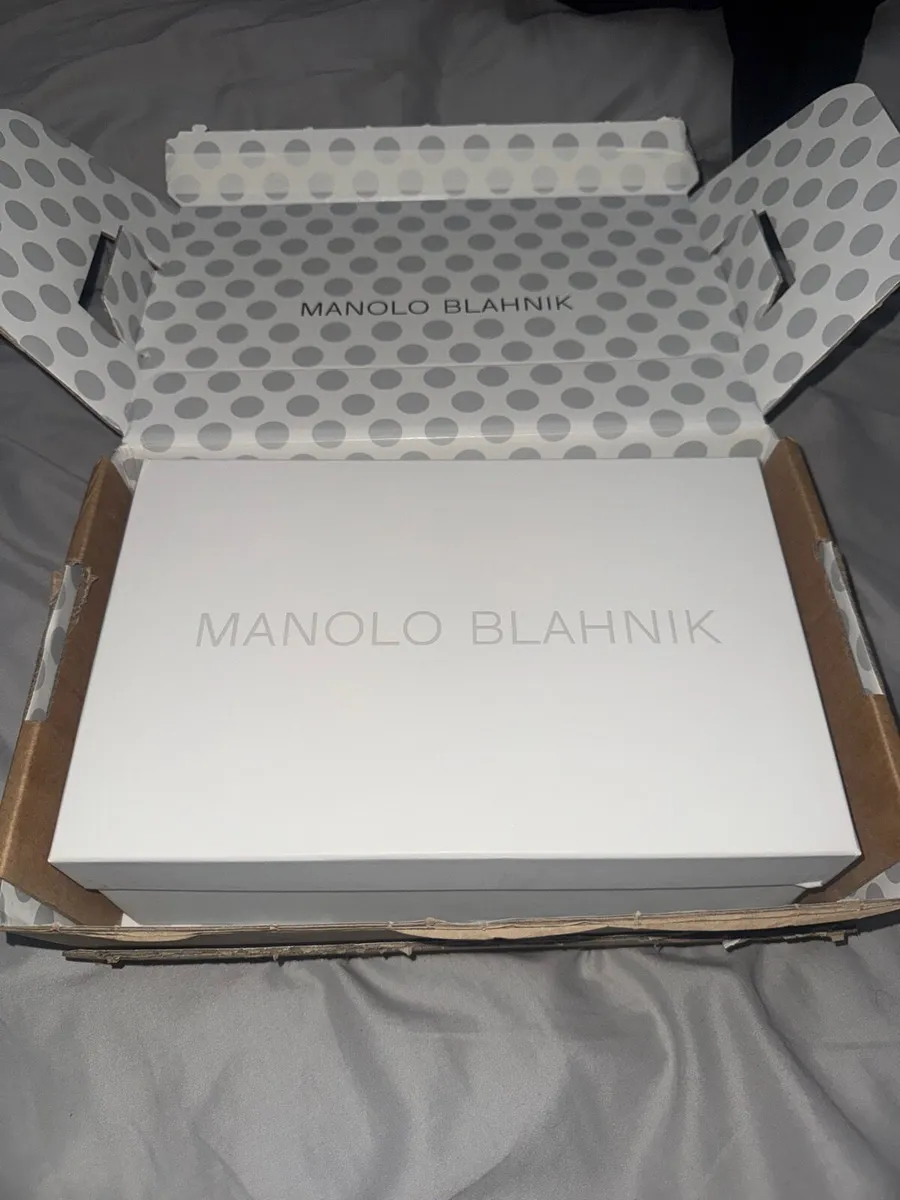 Manolo Blahnik Hangisi 70 shoes - Image 2
