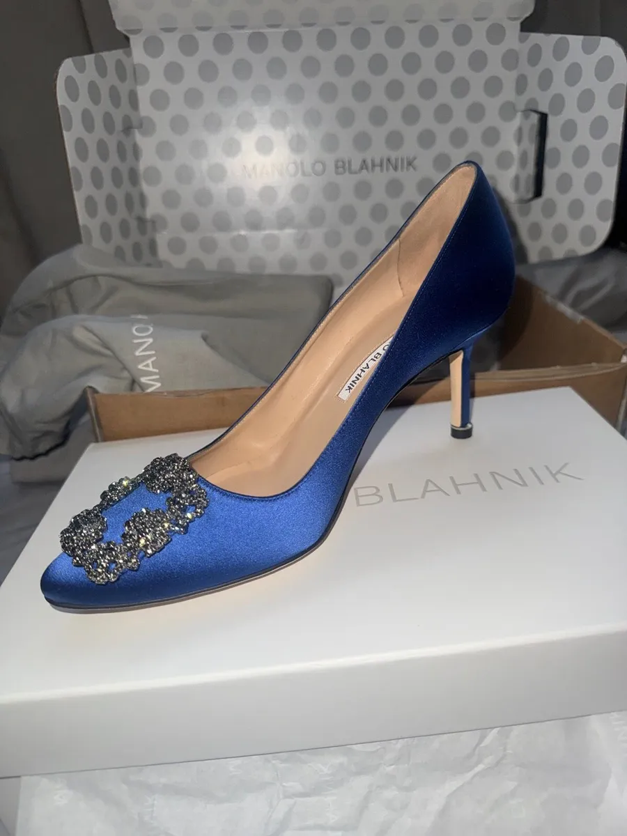 Manolo Blahnik Hangisi 70 shoes - Image 1