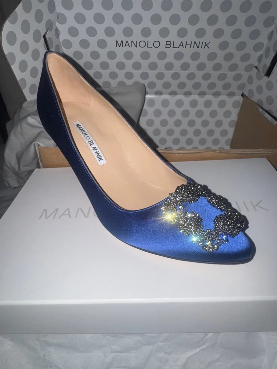 Manolo Blahnik Hangisi 70 shoes - Image 4