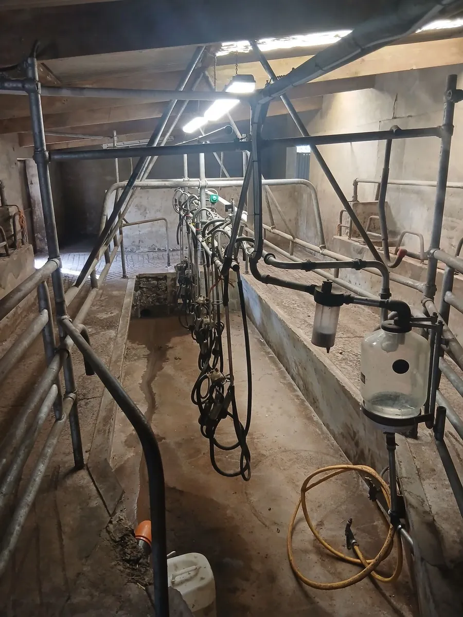 Milking Parlour - Image 4