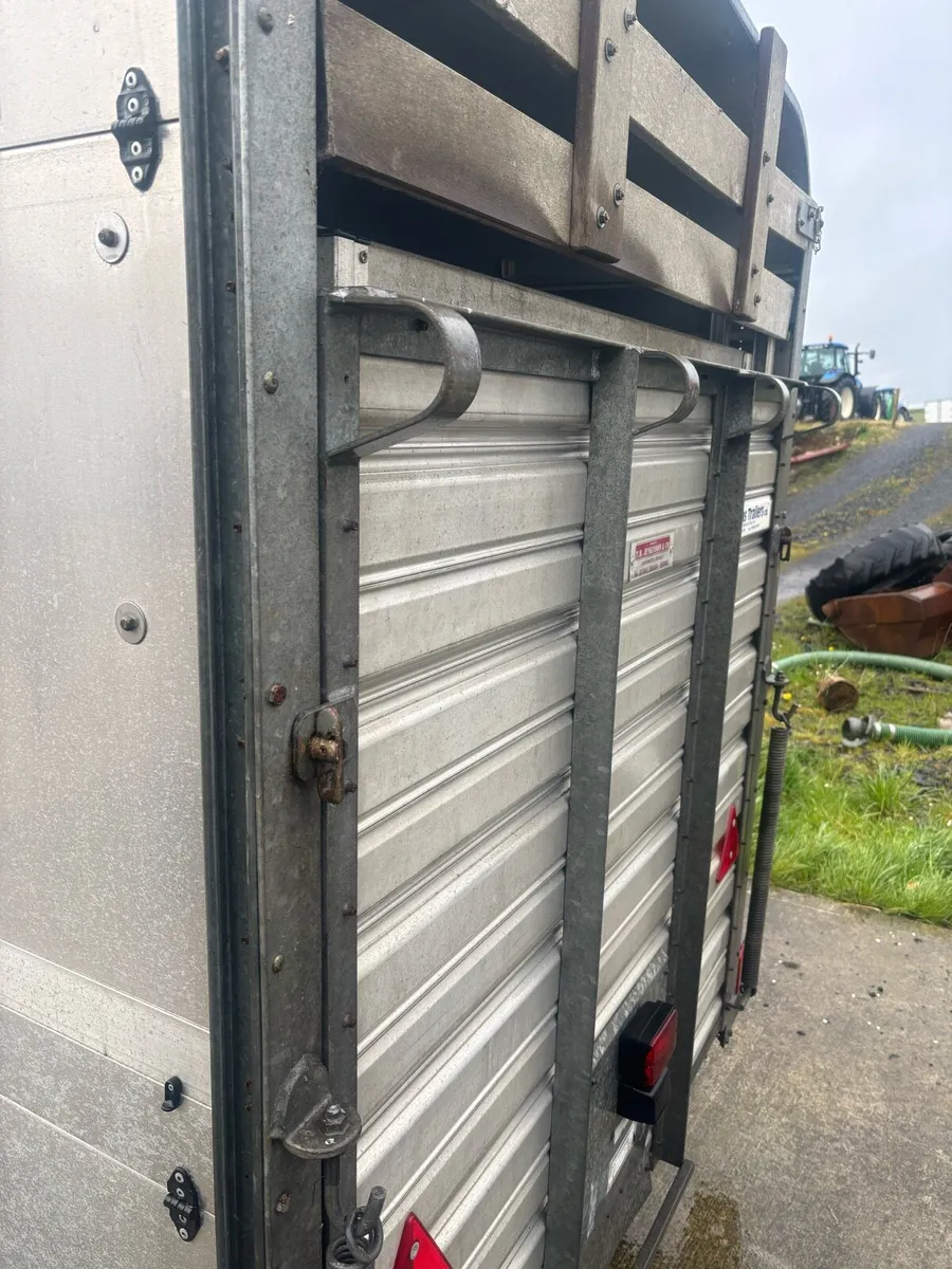 8x 5 Ivor Williams Livestock Trailer - Image 3