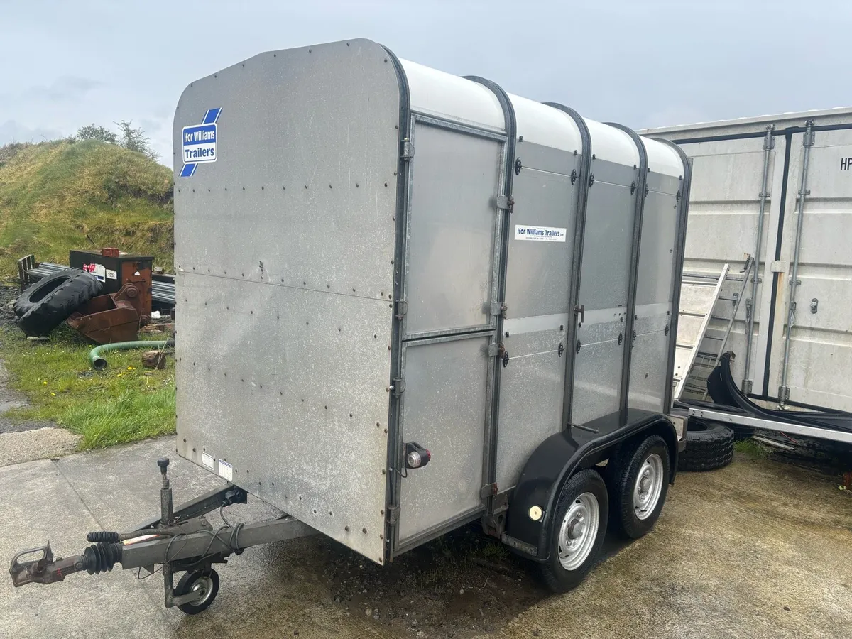 8x 5 Ivor Williams Livestock Trailer - Image 4
