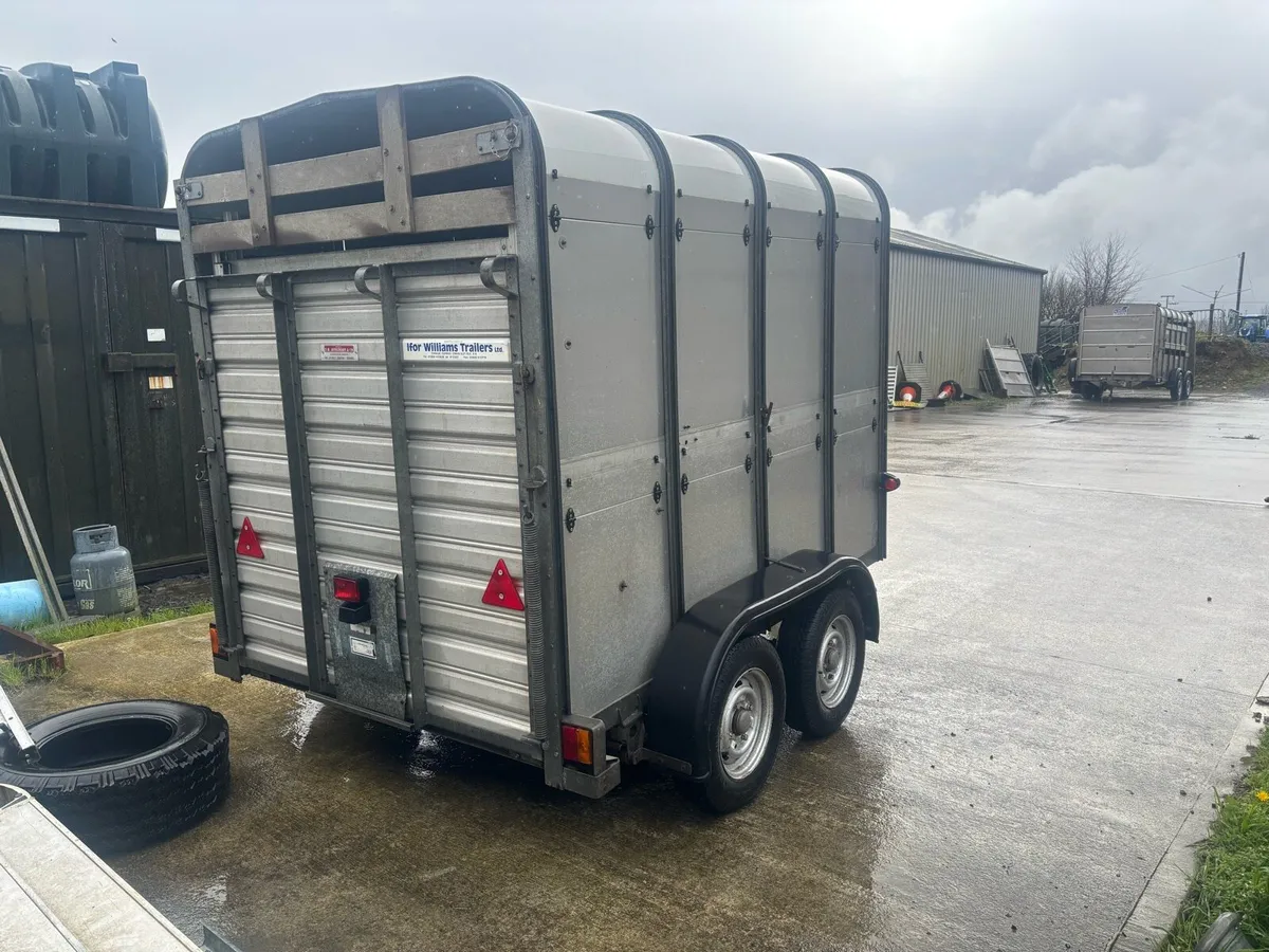 8x 5 Ivor Williams Livestock Trailer - Image 2