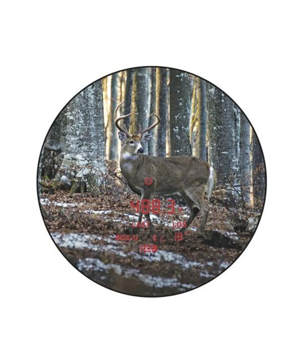 Sig Sauer KILO6K HD 10x32 Binoculars - Image 3