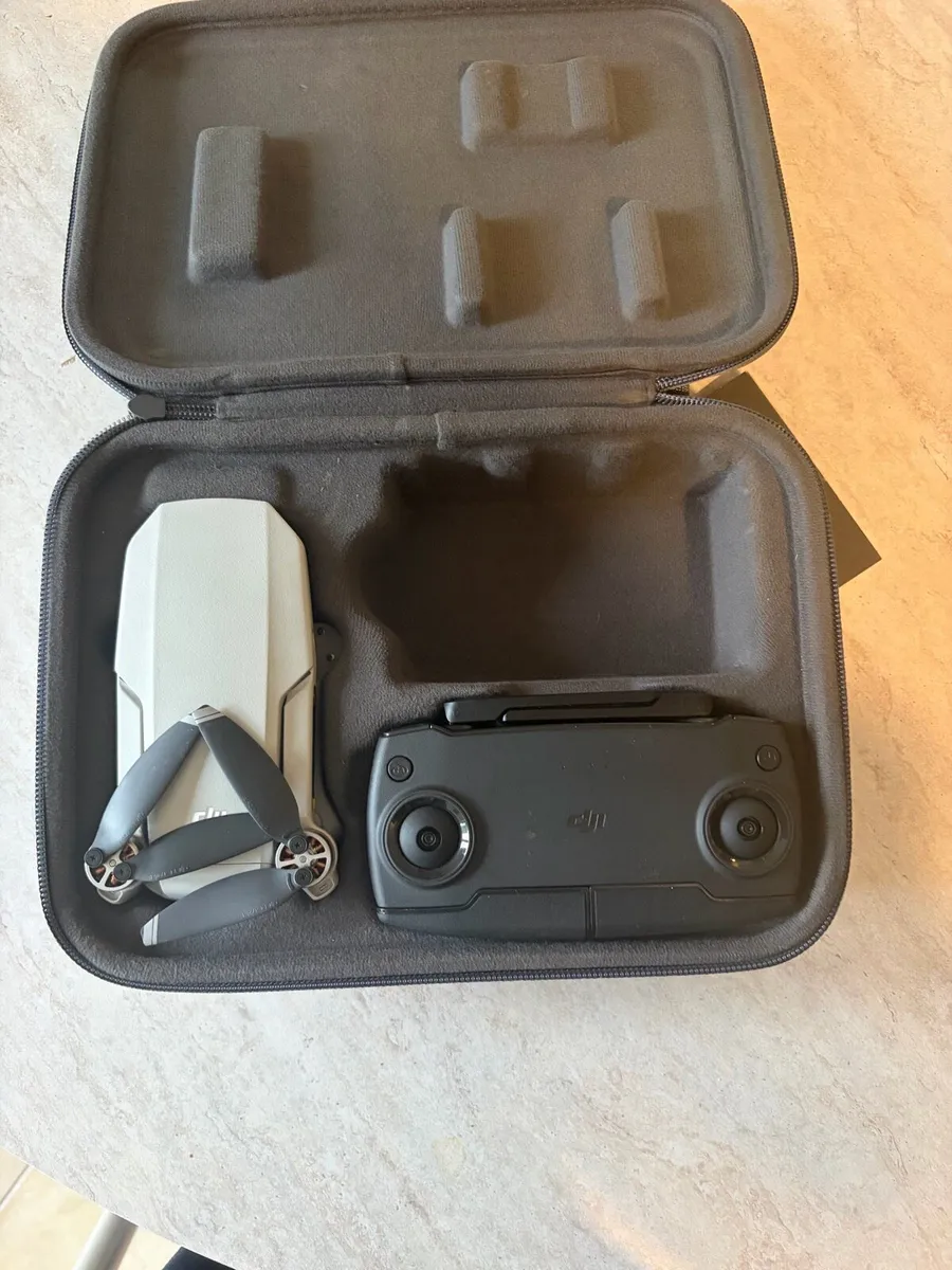Dji Mavic Mini - Image 2