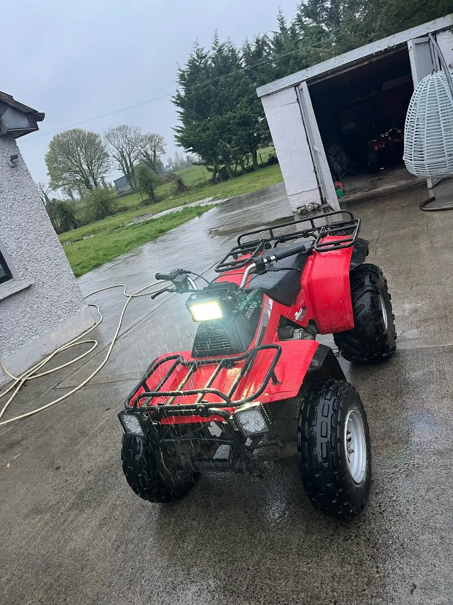 Honda trx 250 - Image 2