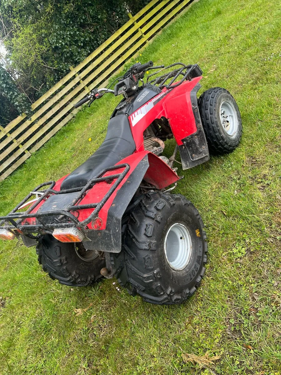 Honda trx 250 - Image 4