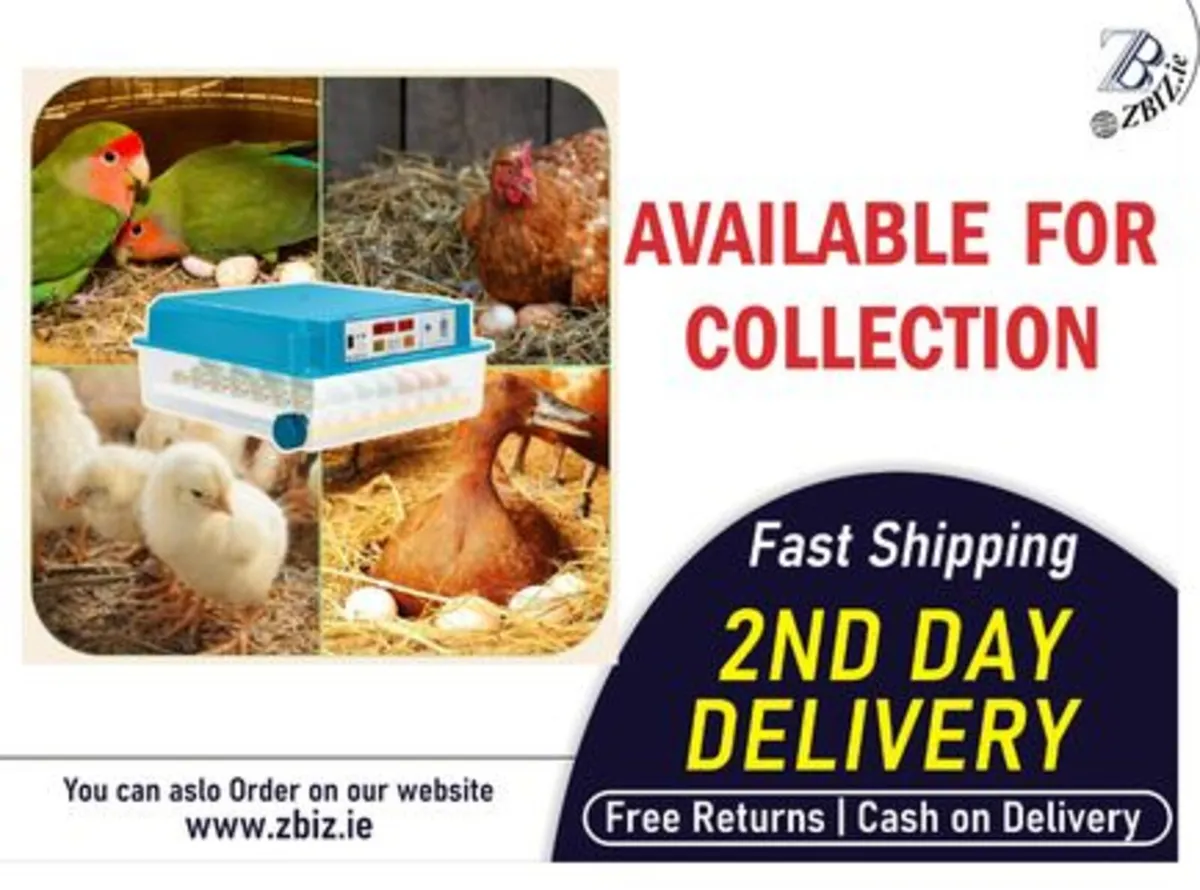 64 Egg Incubator Auto Turning LED Light Blue - Image 1