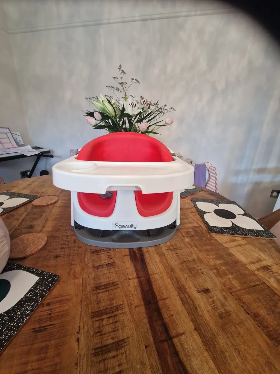 Ingenuity Baby Base Seat 2 in 1 - Image 1