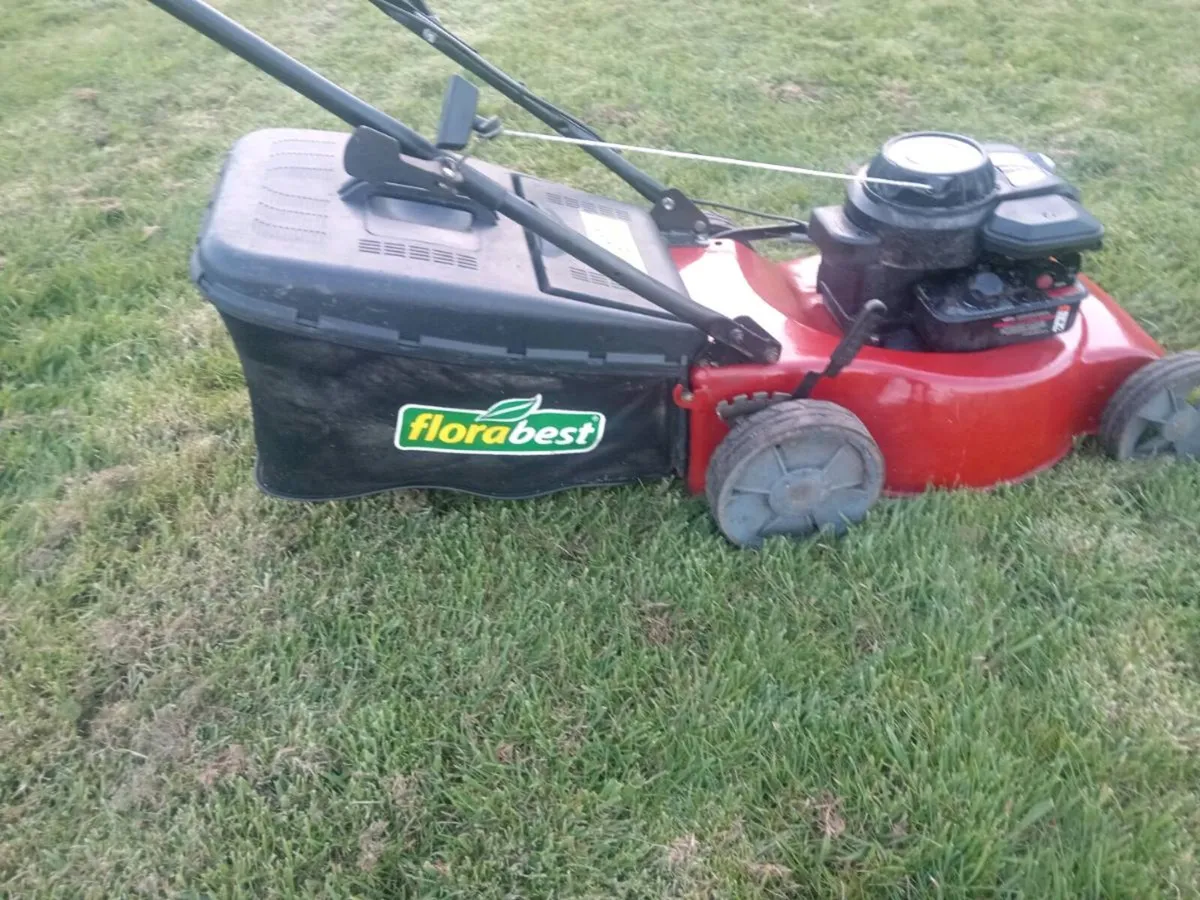 Lawnmowers - Image 2