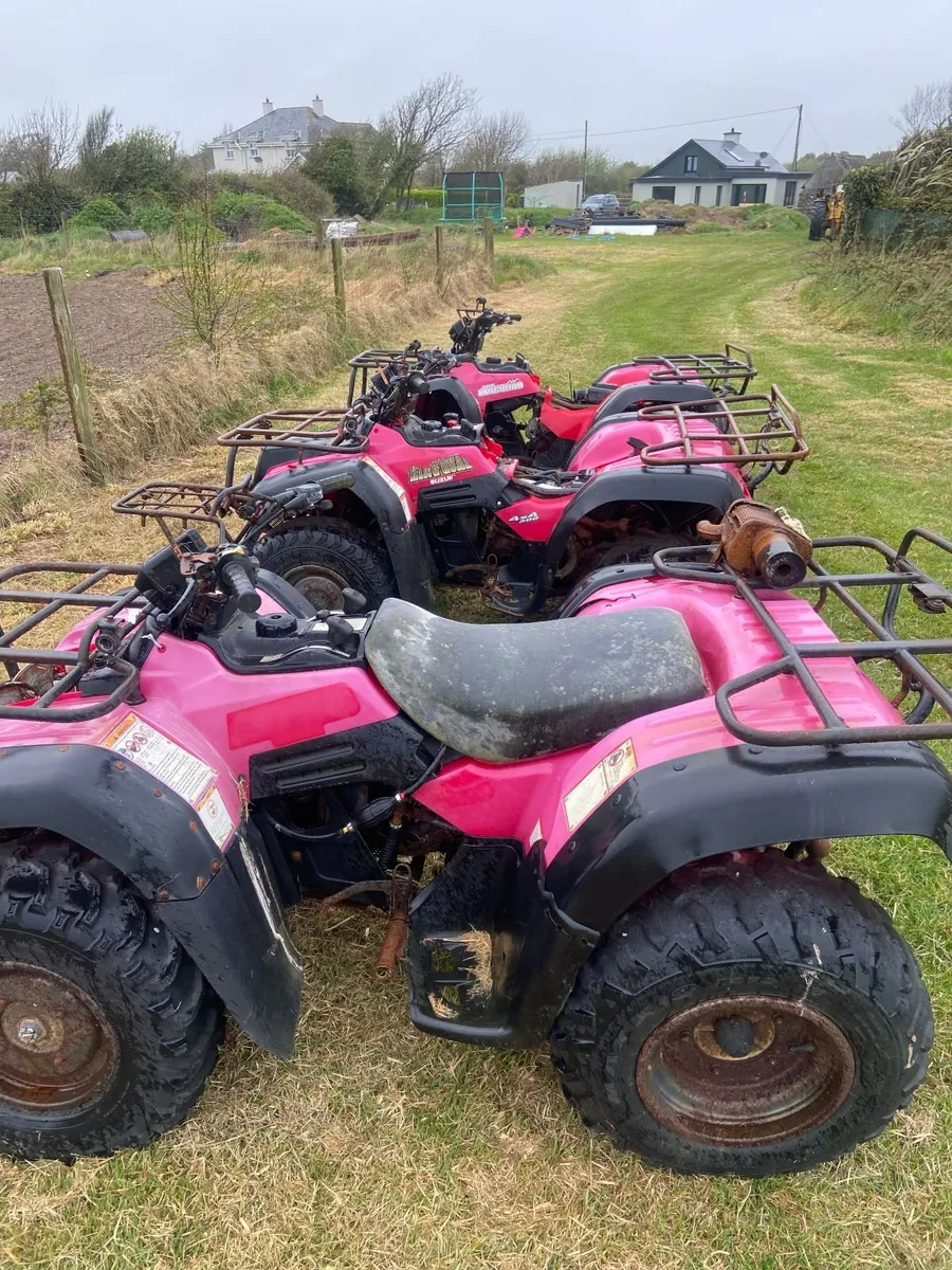 BREAKING SUZUKI 300 KINGQUAD for PARTS - Image 3