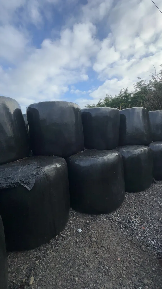 Silage bales