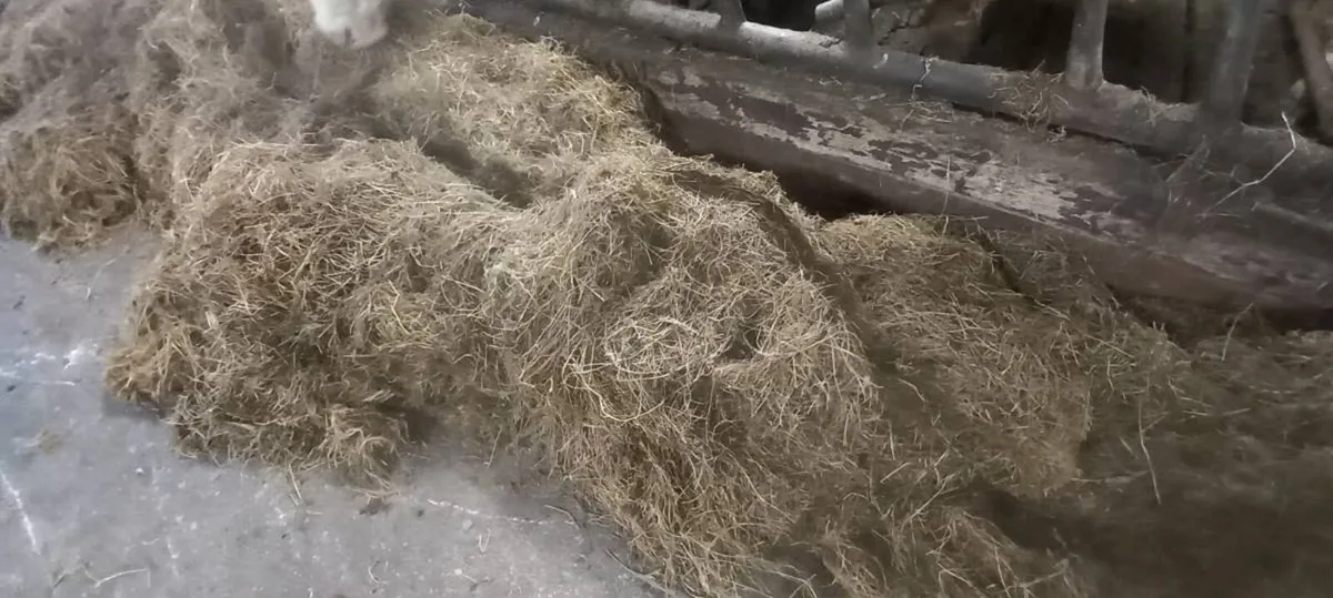Silage bales - Image 1