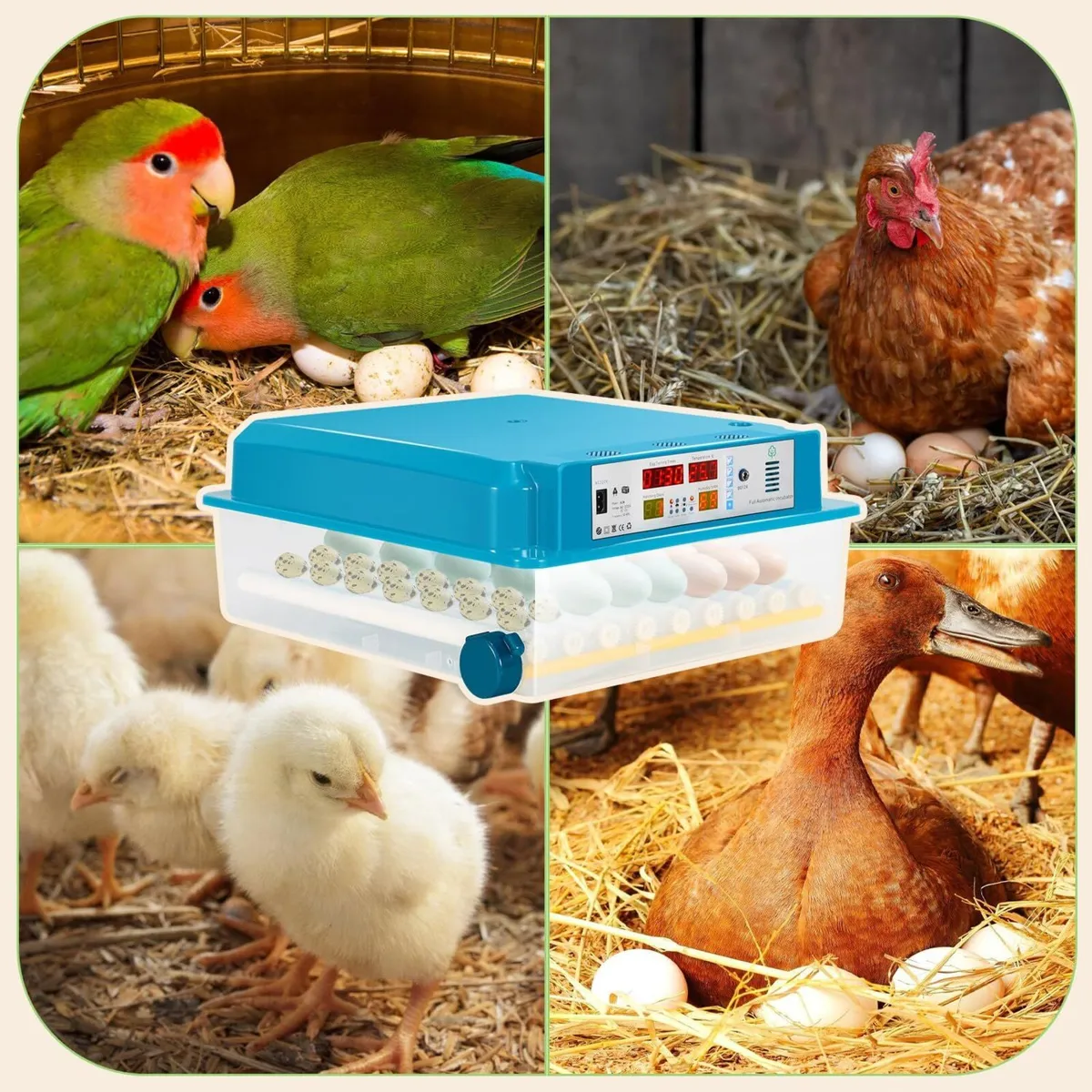 Egg Incubator 64 Auto Turning LED Light Hatch - Image 2