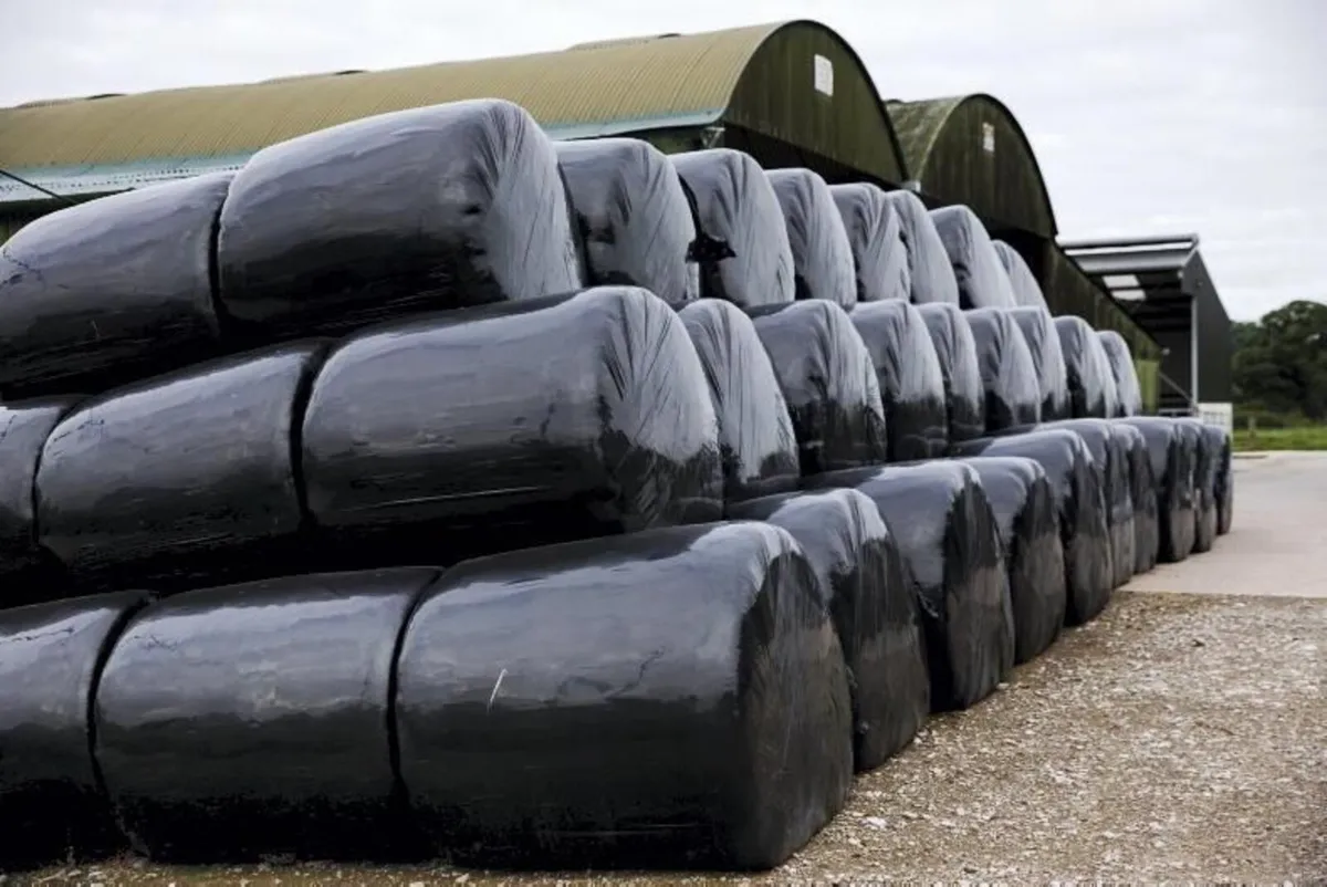 First Cut Silage Bales