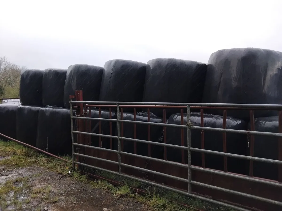 Silage bales