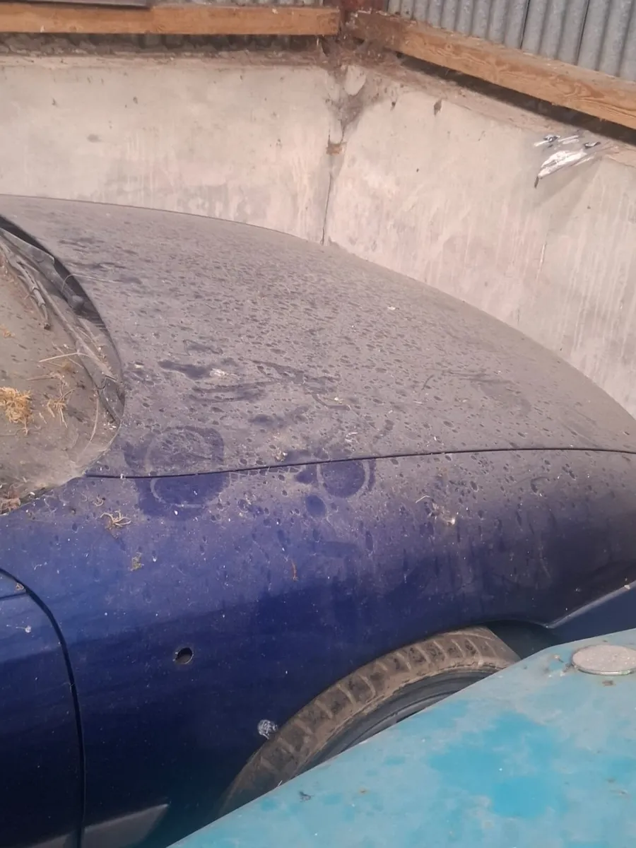 Vauxhall Calibra - Image 4