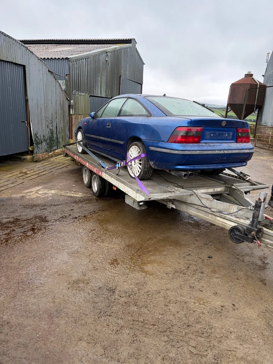 Vauxhall Calibra - Image 1