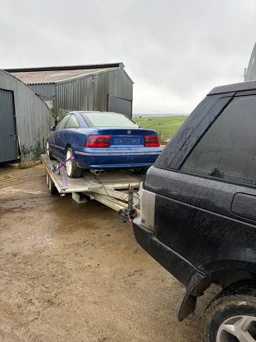 Vauxhall Calibra - Image 2