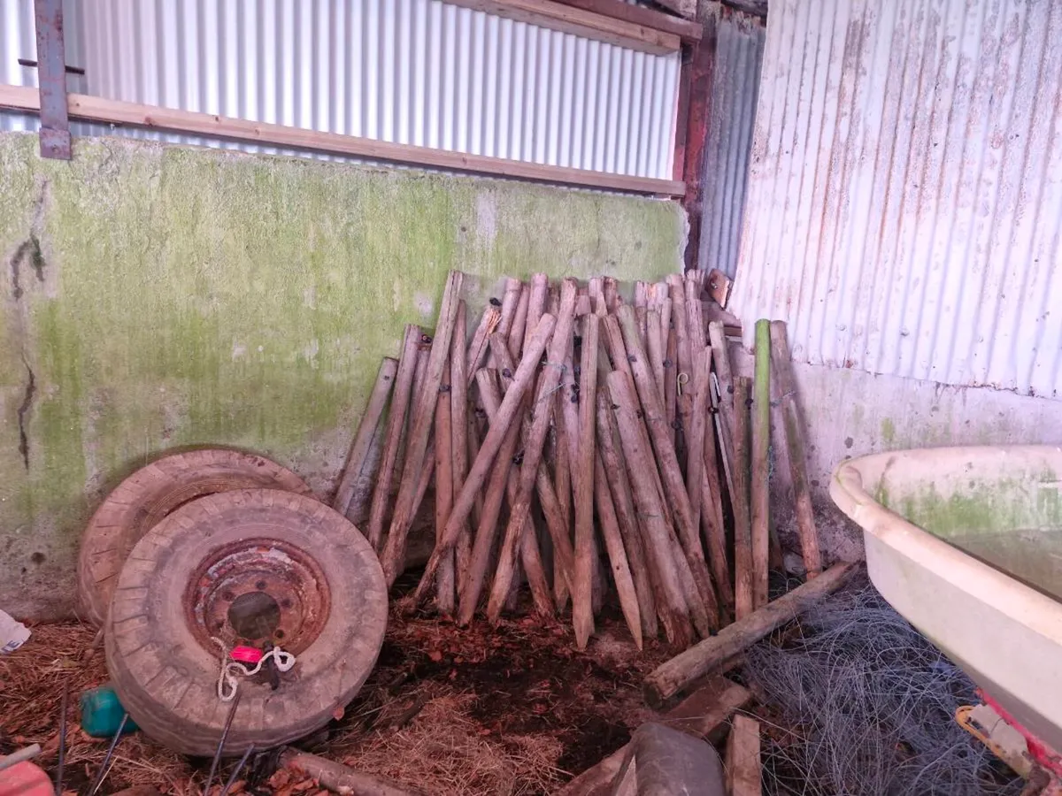 Stakes , posts - Image 3