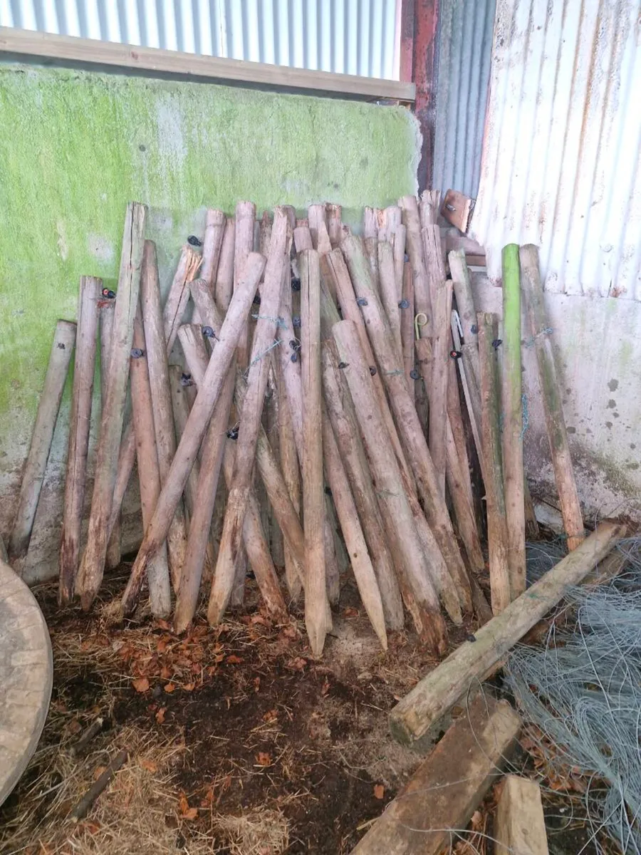 Stakes , posts - Image 1