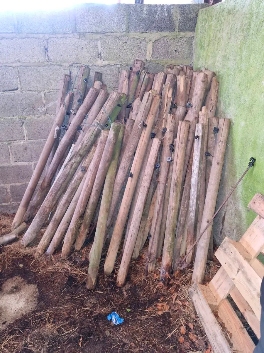 Stakes , posts - Image 4