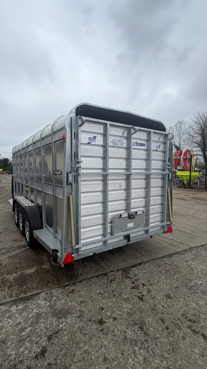 Ifor Williams 16ft livestock trailer - Image 2
