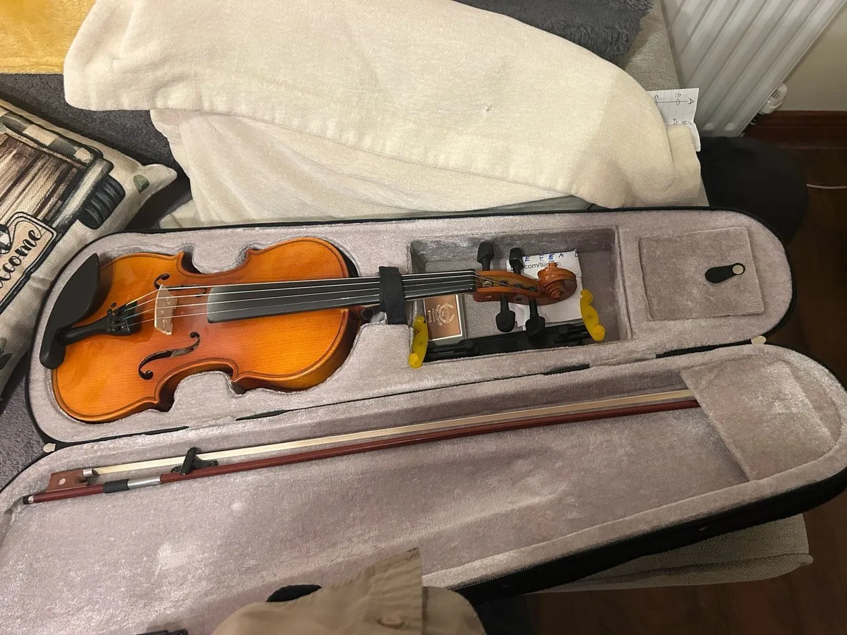 Violin and case - Image 1