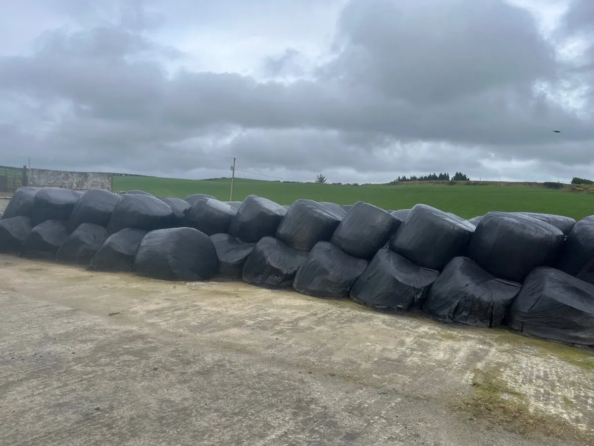 Silage for sale - Image 1