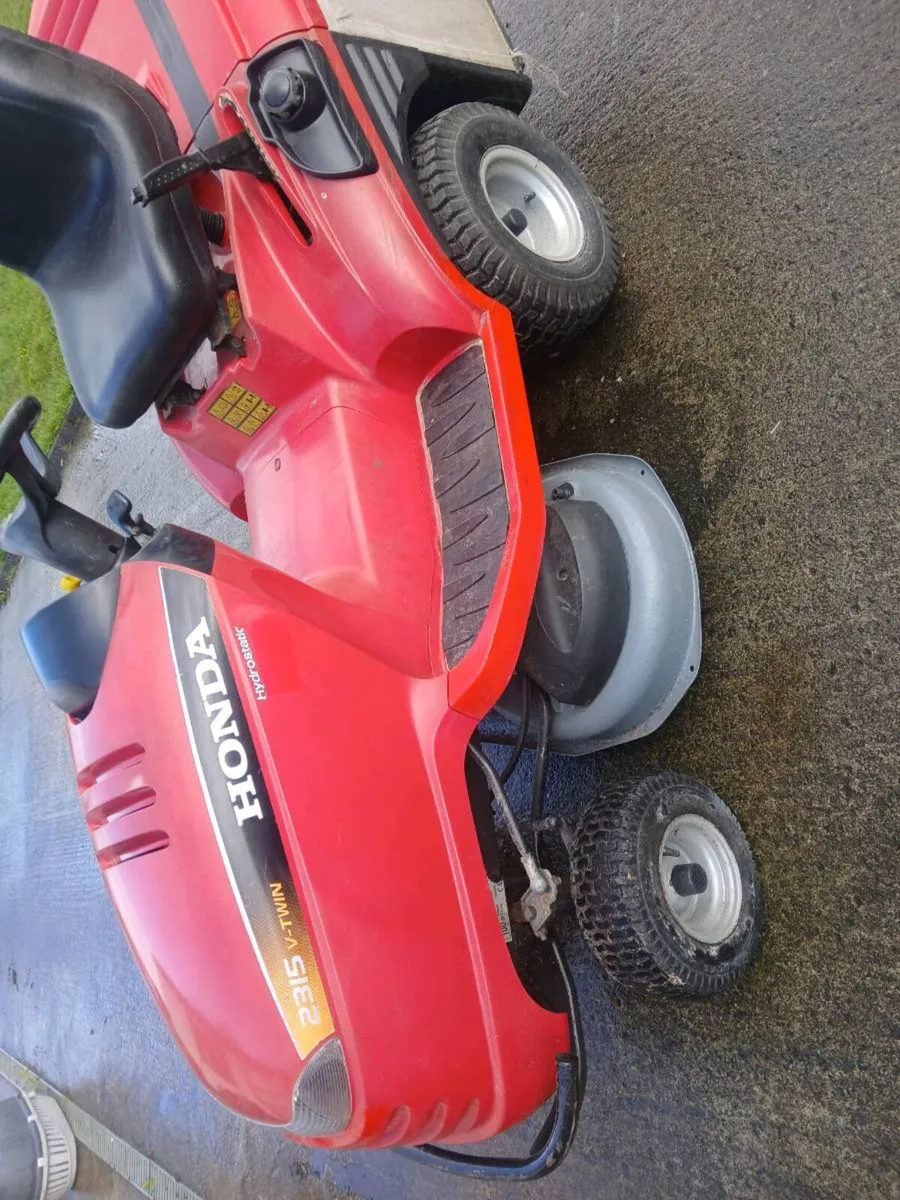 Martin cannon - Image 4