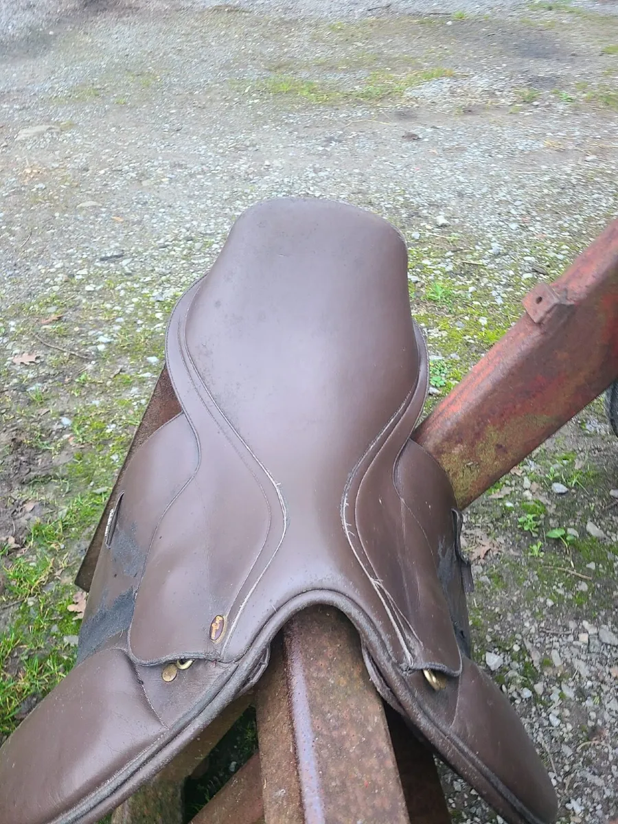 Saddle - Image 2