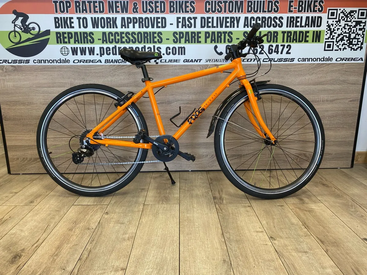 Frog 73 (like new) - Image 1