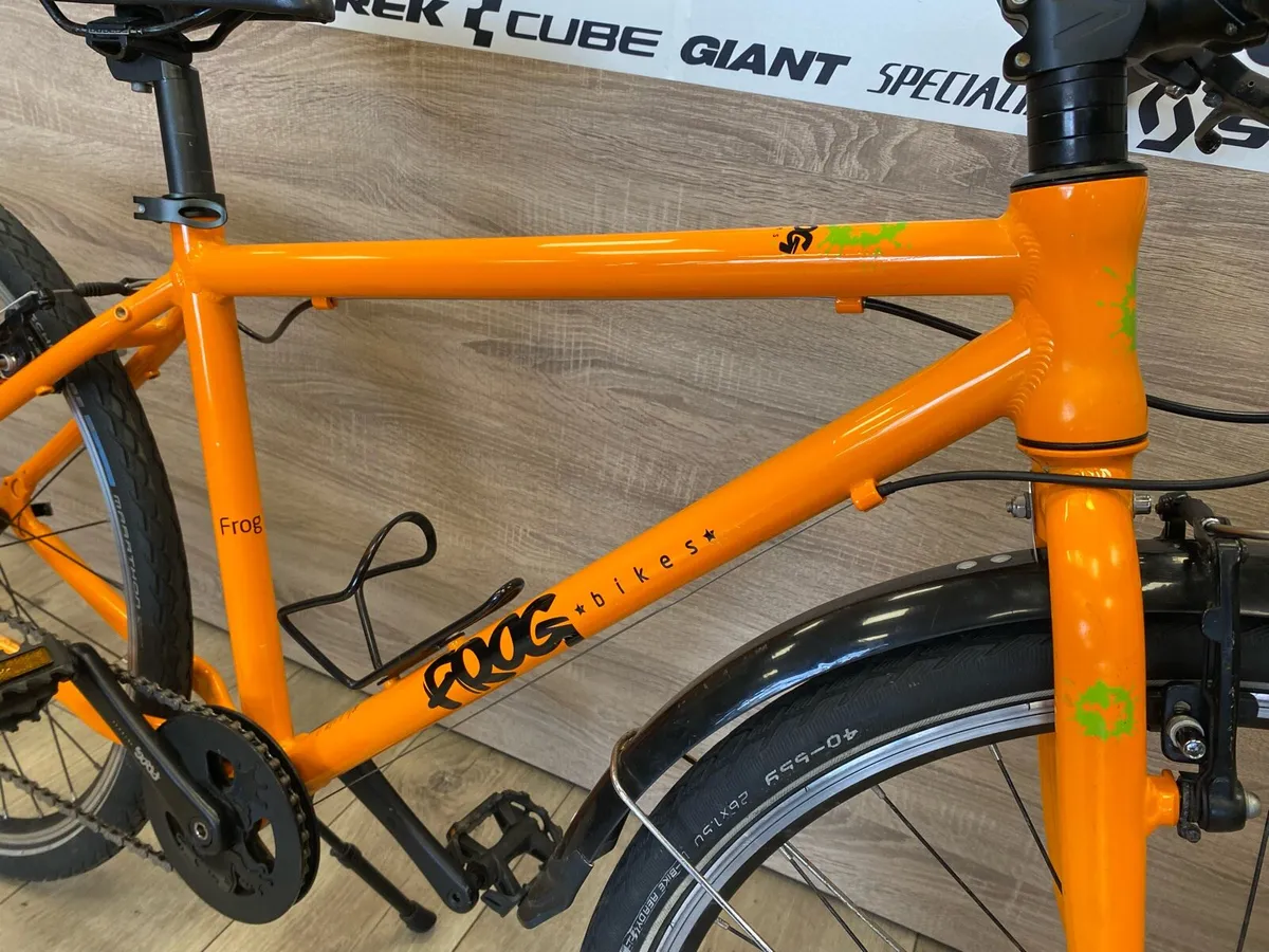 Frog 73 (like new) - Image 3