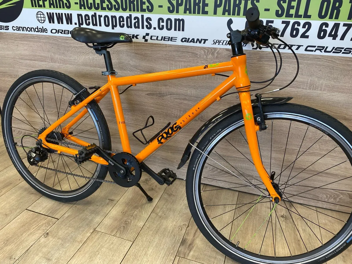 Frog 73 (like new) - Image 4