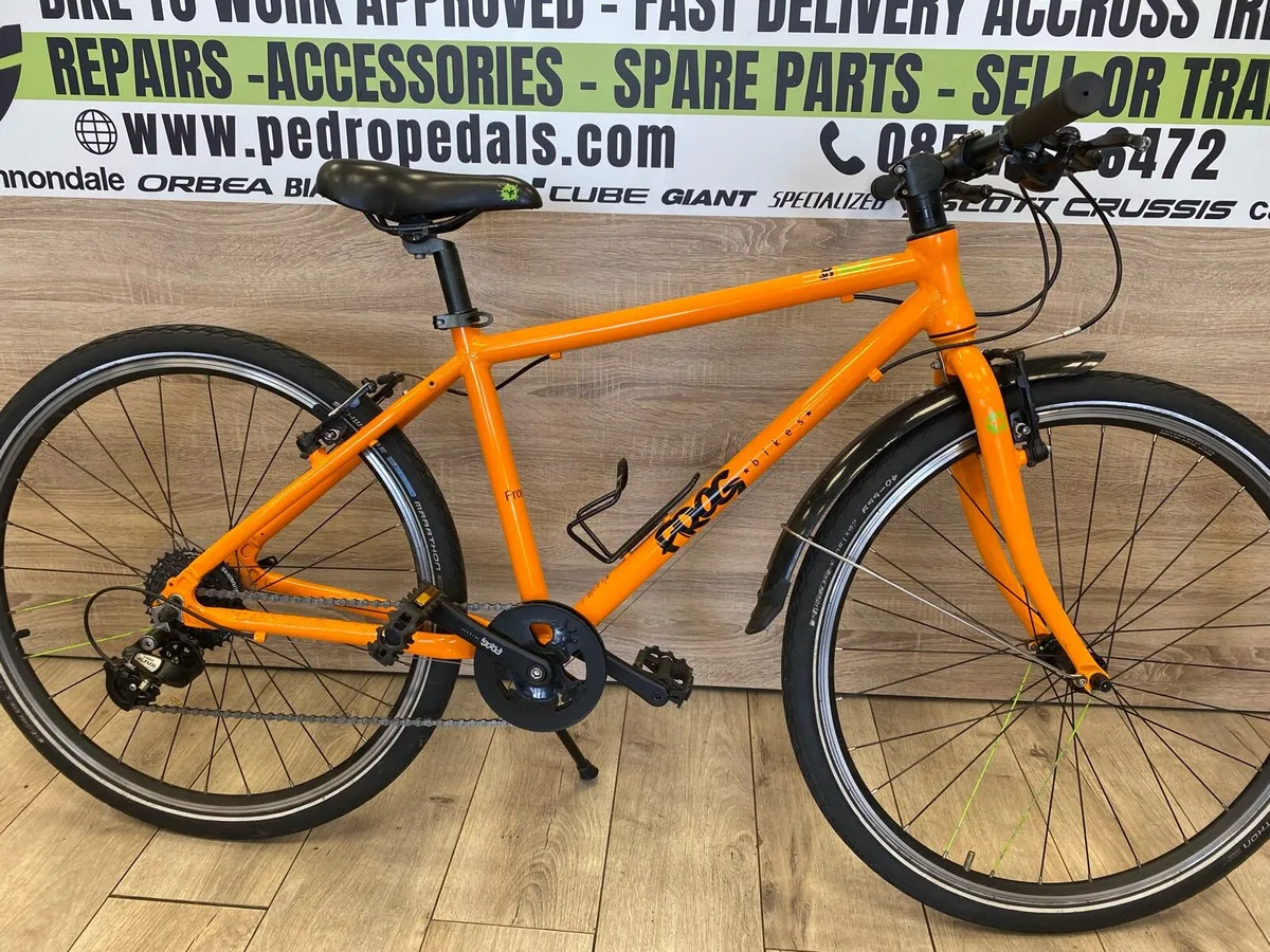 Frog 73 (like new) - Image 2