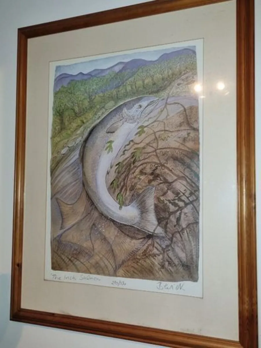 Pauline Bewick - The Irish Salmon - Image 4
