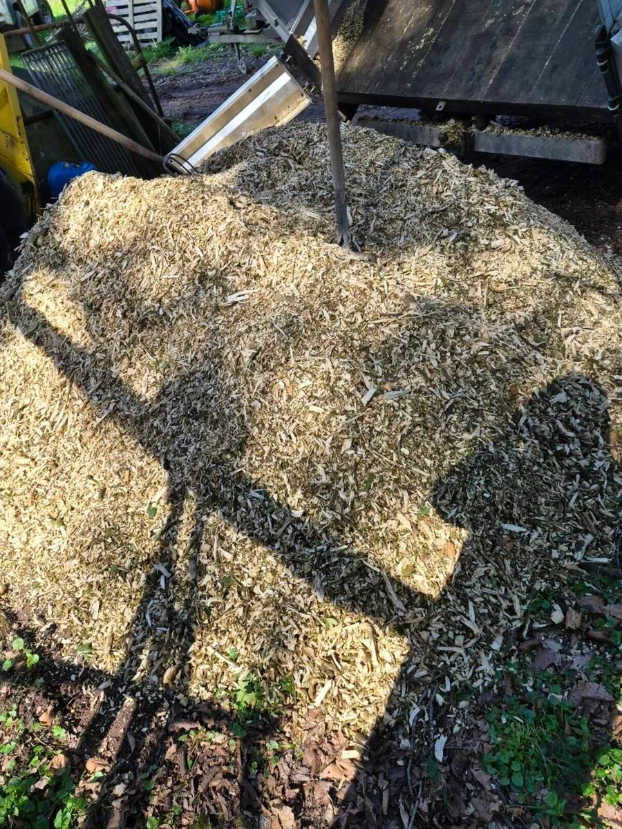 Wood chip - Image 2