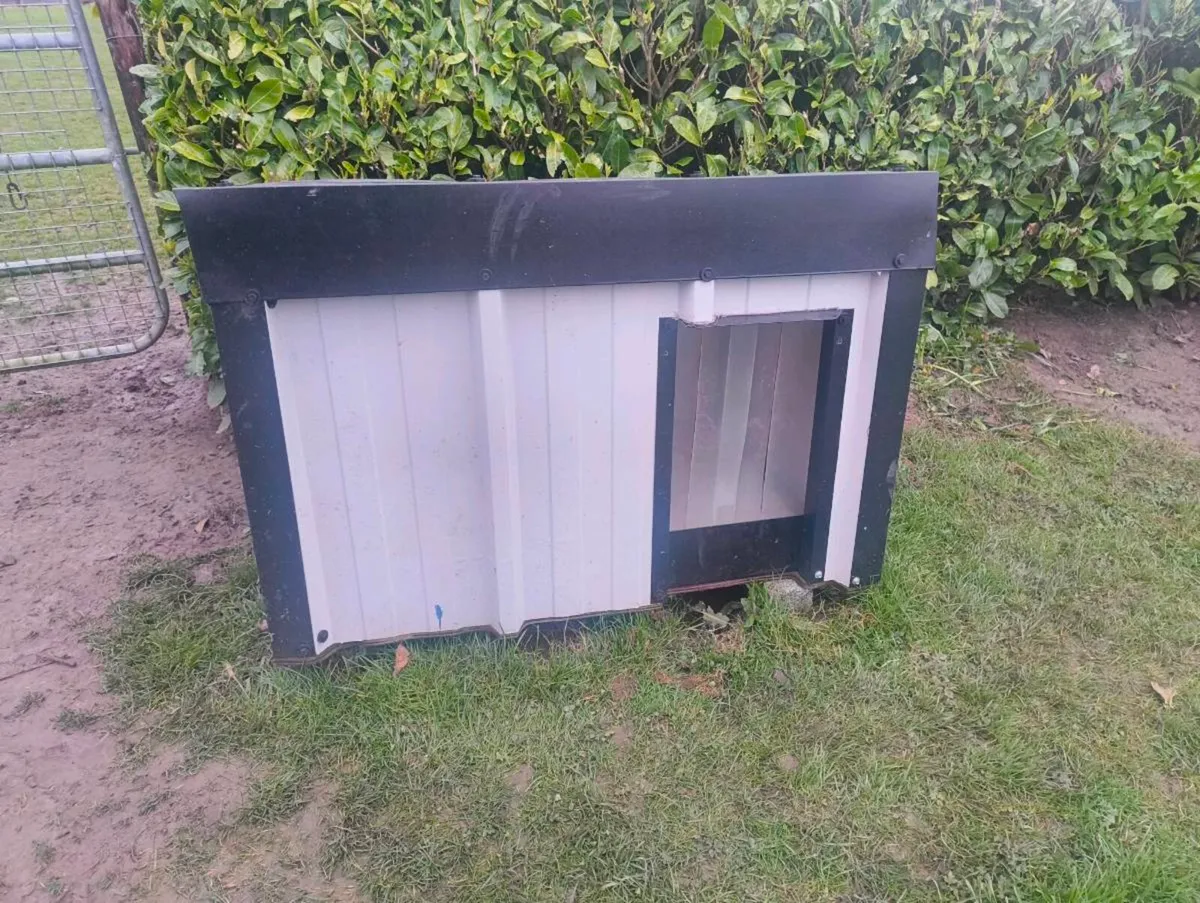 Dog Box Kennel - Image 3