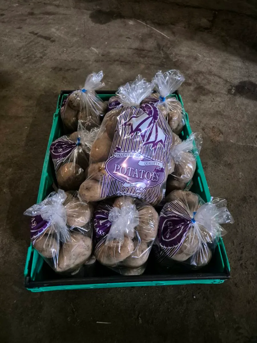 Kerrs Pinks for Sale - Image 2