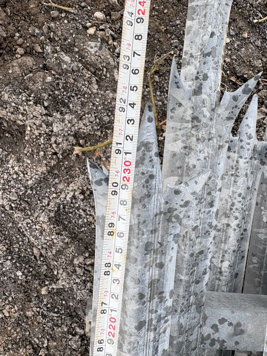 Palisade fencing and shed doors - Image 2