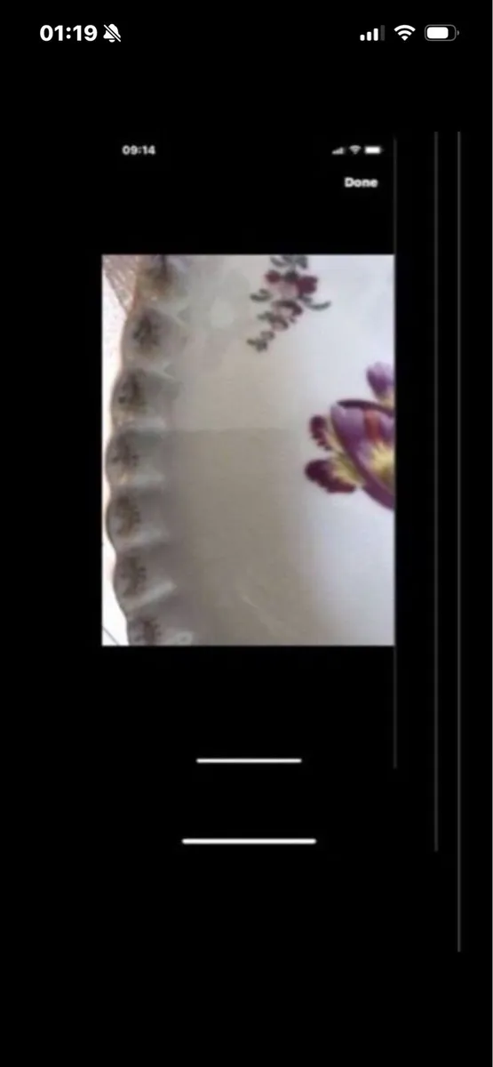 Antique Hand Painted Meissen Dish - Image 2