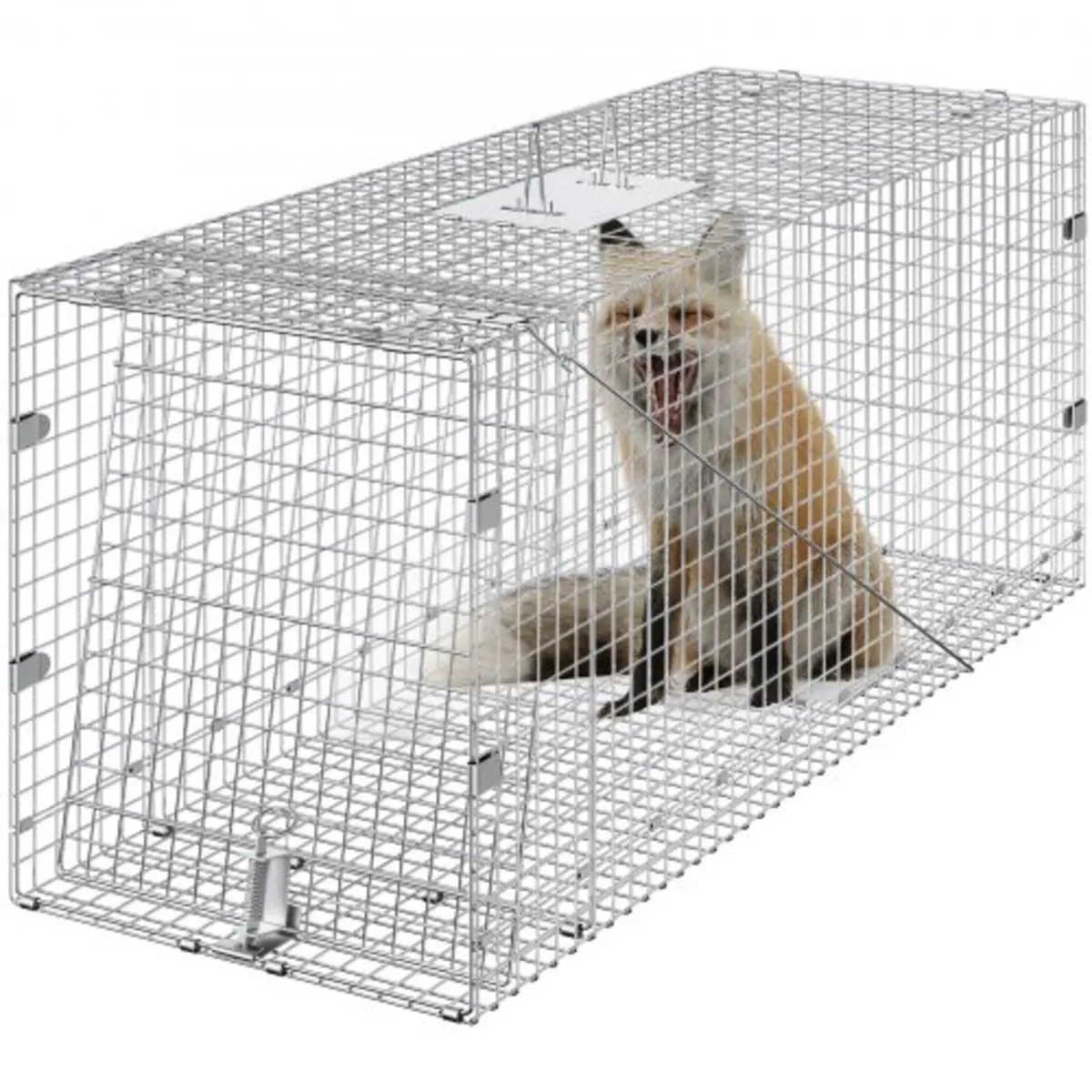 Live Animal Cage Trap, 50" x 20" x 26" Humane Cat - Image 1