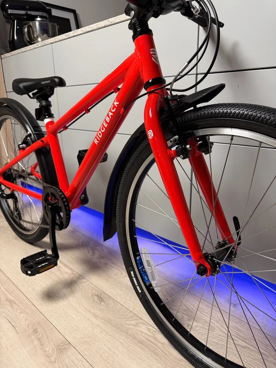 Ridgeback Dimension Junior Bike 24 inch - Image 4