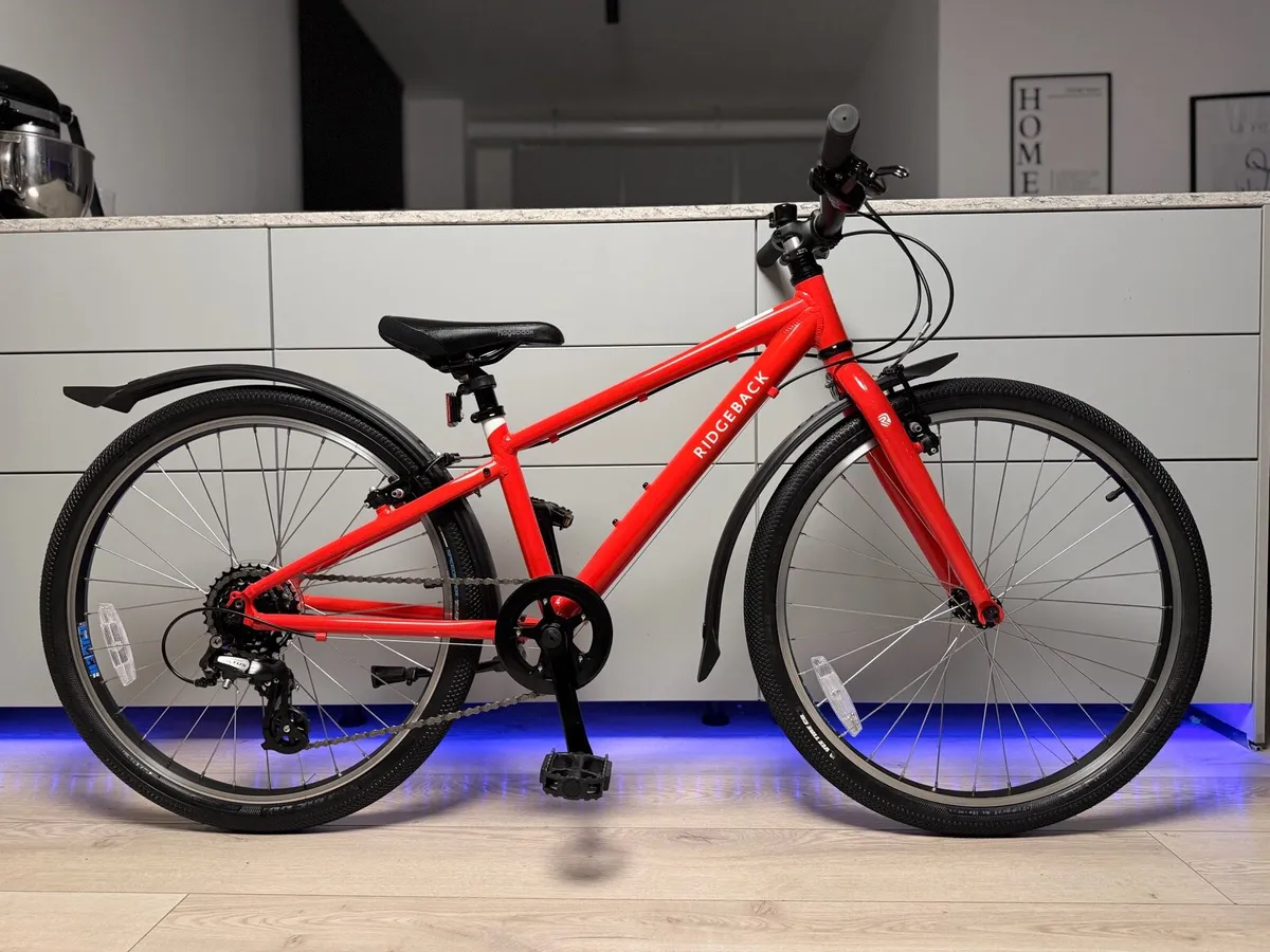 Ridgeback Dimension Junior Bike 24 inch - Image 1