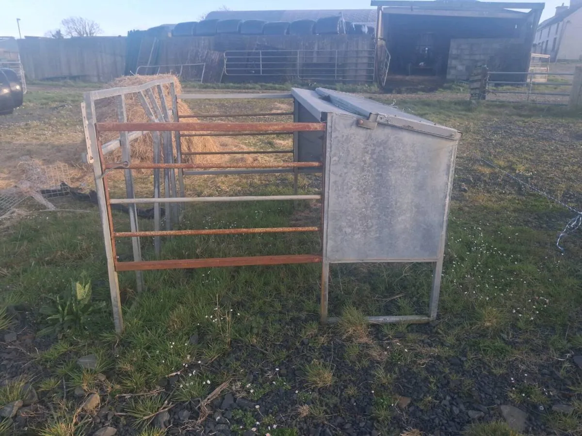 Creep Feeder for Calves - Image 3